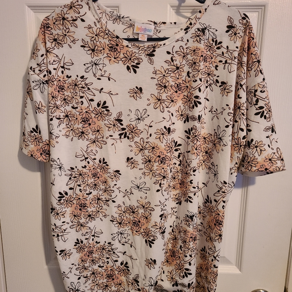 LLR XS Irma